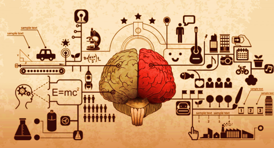 Cerveau gauche ou droit
